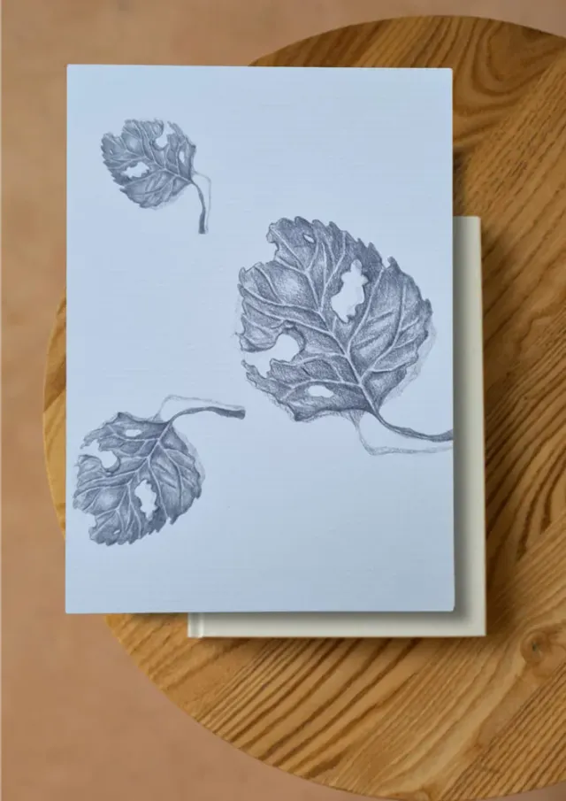 Blad & Beeld Bladeren kaart herfst botanisch