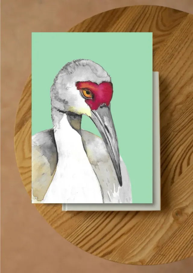 Blad & Beeld Kraanvogel kaart natuurillustratie